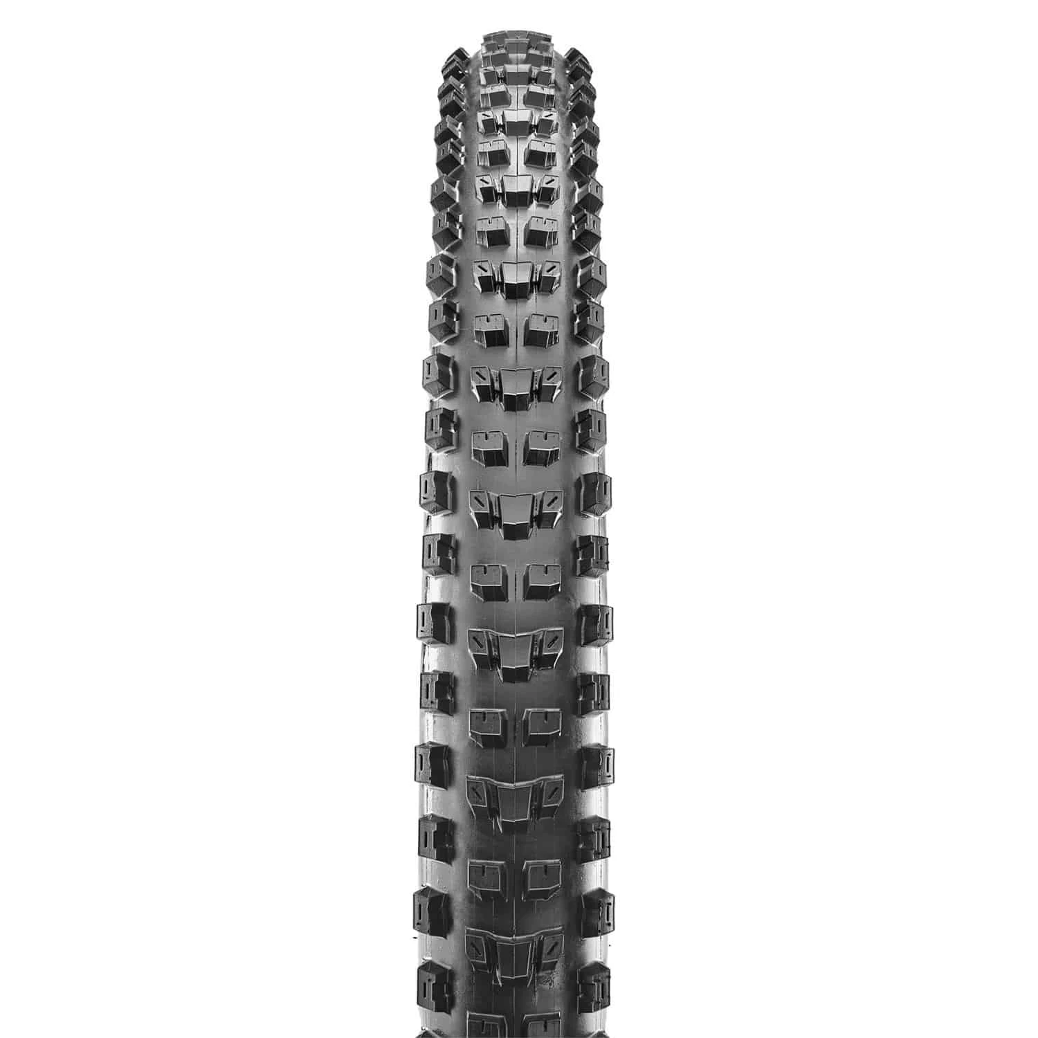 Maxxis Dissector EXO TR 3C MaxxTerra MTB-Reifen (29") 1 Maxxis Dissector EXO TR 3C MaxxTerra MTB-Reifen (29")