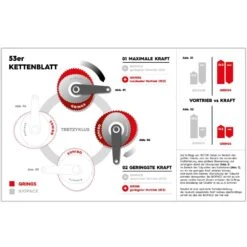 Rotor Q-Ring Road Non Aero Ovales Kettenblatt 7 Rotor Q-Ring Road Non Aero Ovales Kettenblatt -Bike Geschaft rotor q ring road non aero ovales kettenblatt 2016 455572 d